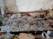 Phụ kiện ốc vít các loại